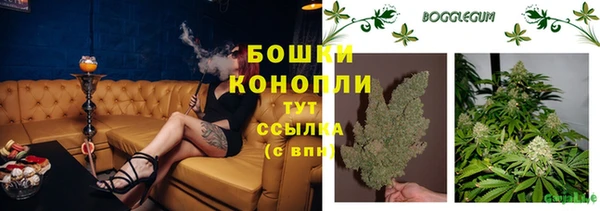 ПСИЛОЦИБИНОВЫЕ ГРИБЫ Абаза