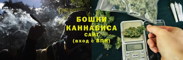 ПСИЛОЦИБИНОВЫЕ ГРИБЫ Абаза