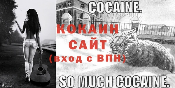ПСИЛОЦИБИНОВЫЕ ГРИБЫ Абаза
