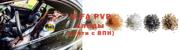 ПСИЛОЦИБИНОВЫЕ ГРИБЫ Абаза