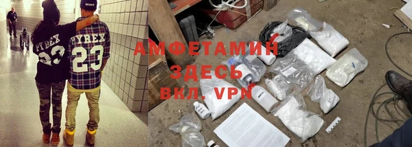 ПСИЛОЦИБИНОВЫЕ ГРИБЫ Абаза