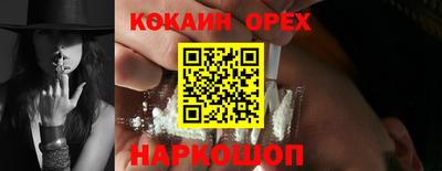 гашик Сланцы