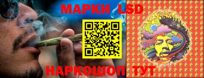 гашик Сланцы