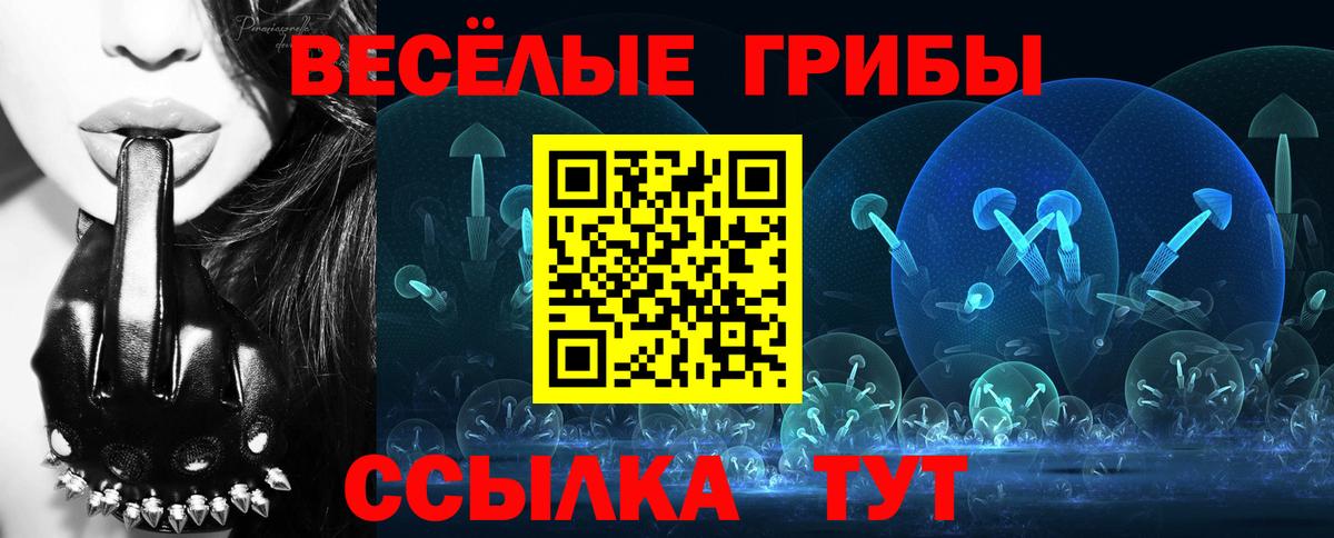 Серпухов  Псилоцибиновые грибы MAGIC MUSHROOMS  Вход с VPN 