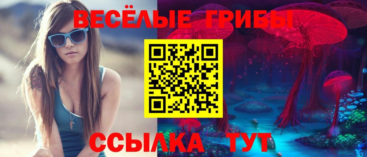 Псилоцибиновые грибы GOLDEN TEACHER Серпухов